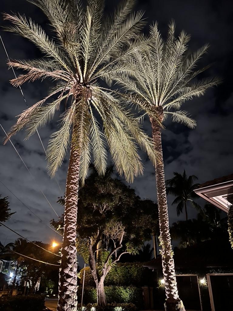 LED Landscape & Outdoor Lighting