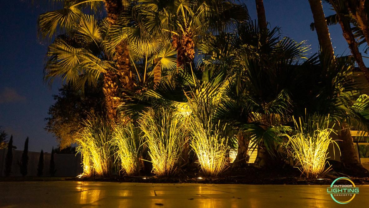 LED Landscape & Outdoor Lighting - project photo 5